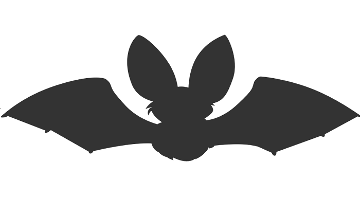  Svajonės apie šikšnosparnius - aiškinimas ir reikšmė